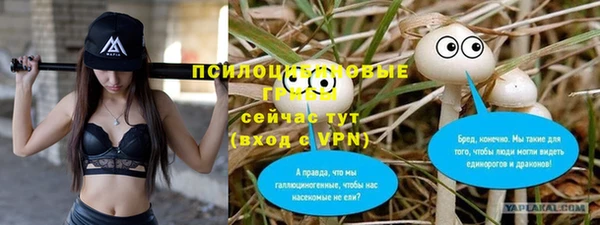 твердый Алексин