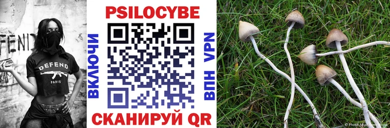 даркнет сайт  Фурманов  Псилоцибиновые грибы Psilocybine cubensis 